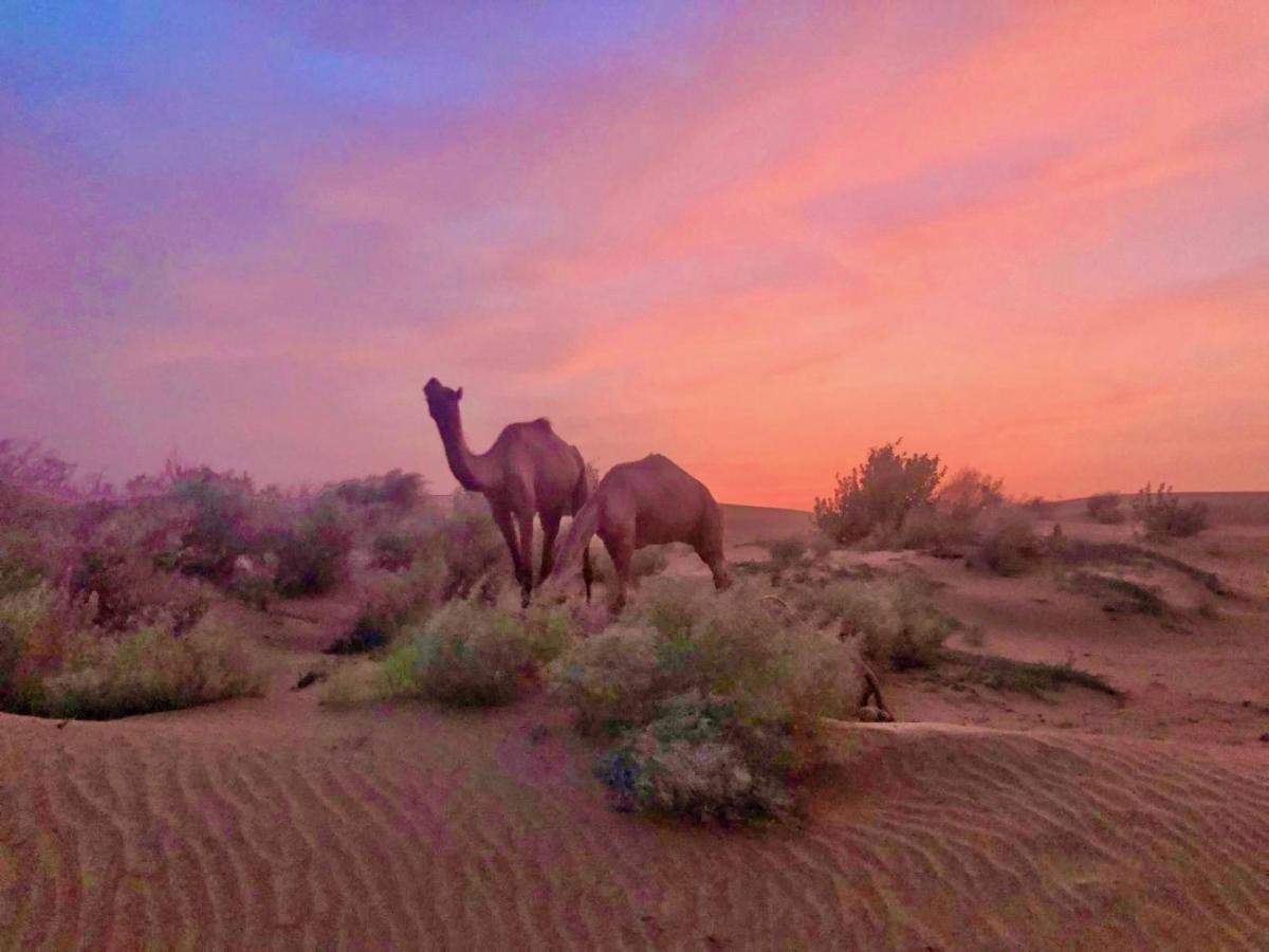 Hotel Desert Bloom Dzsaiszalmer Kültér fotó